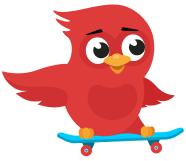 skating ned